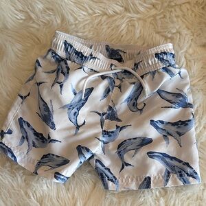 Janie and Jack Swim Trunks